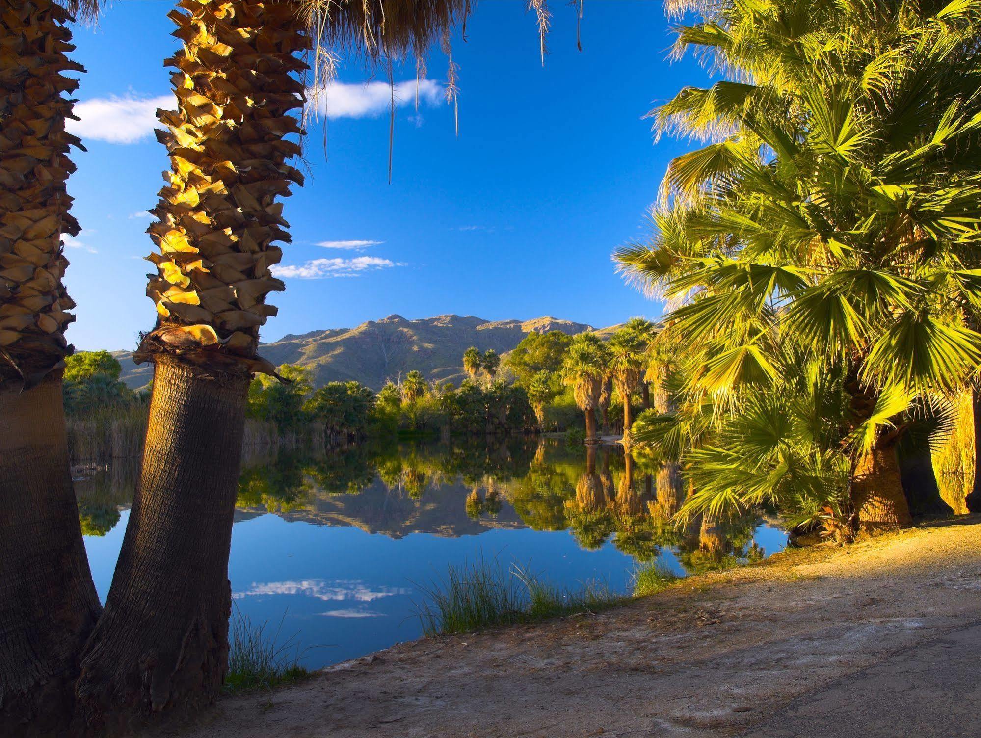 Raintree'S Cimarron Golf Resort Palm Springs Катидрал-Сити Экстерьер фото